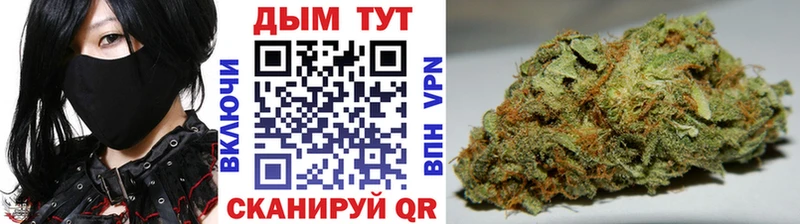 Конопля Amnesia Мирный